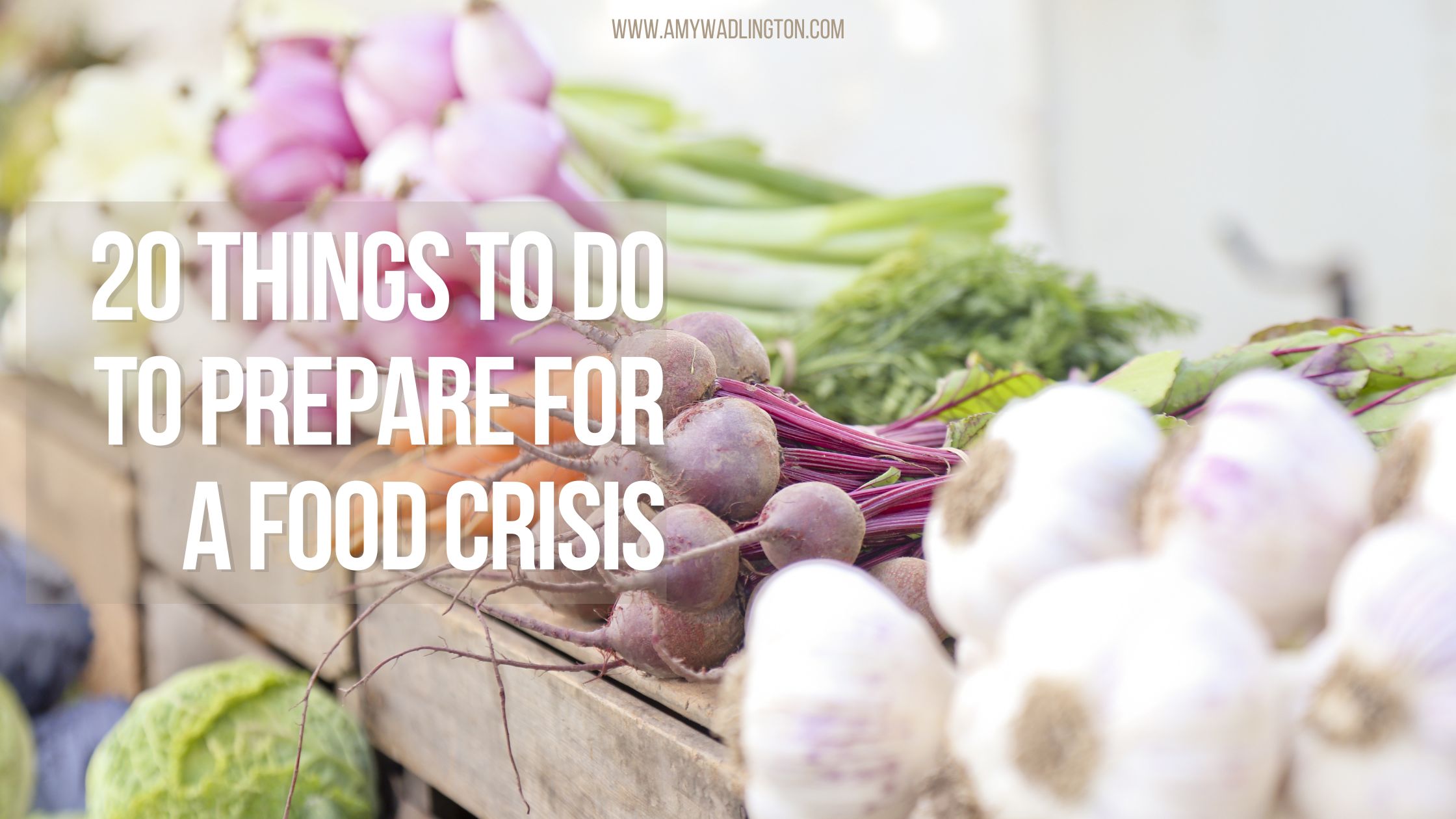 what do to in case of a food crisis, food shortage, or food emergency