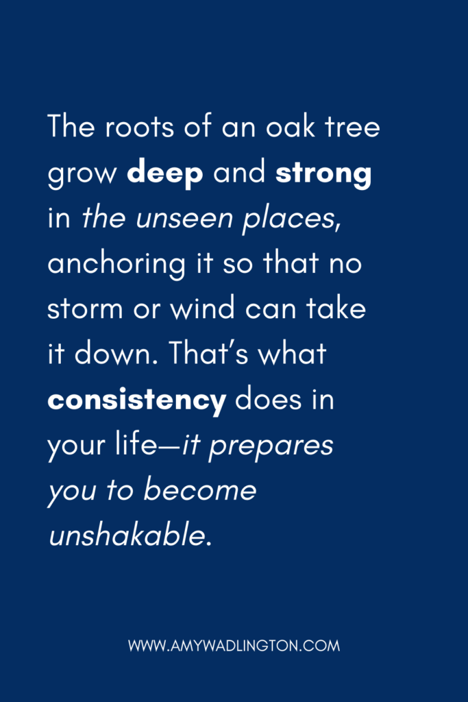 quote about consistency and weathering the storm