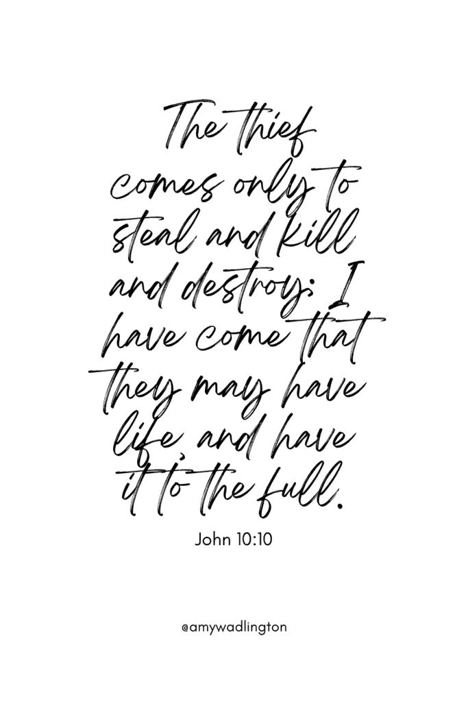 John 10 10 The thief comes only to steal and kill and destroy; I have come that they may have life, and have it to the full.