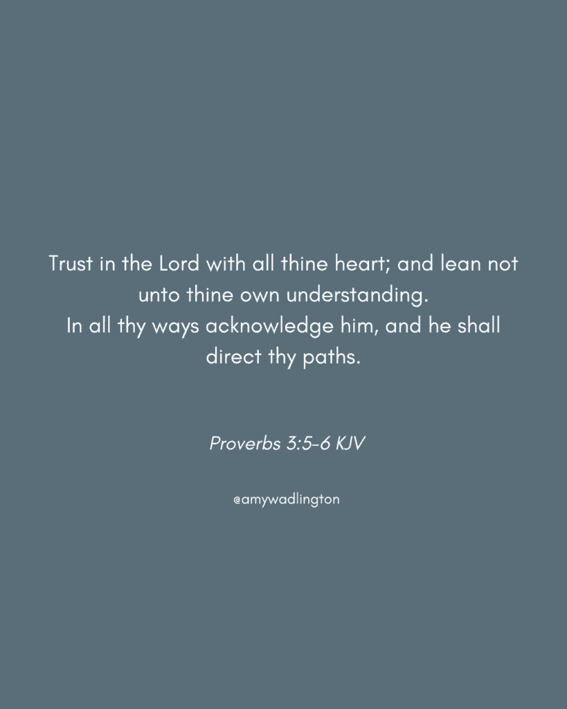 Trust in the Lord Bible Verse 