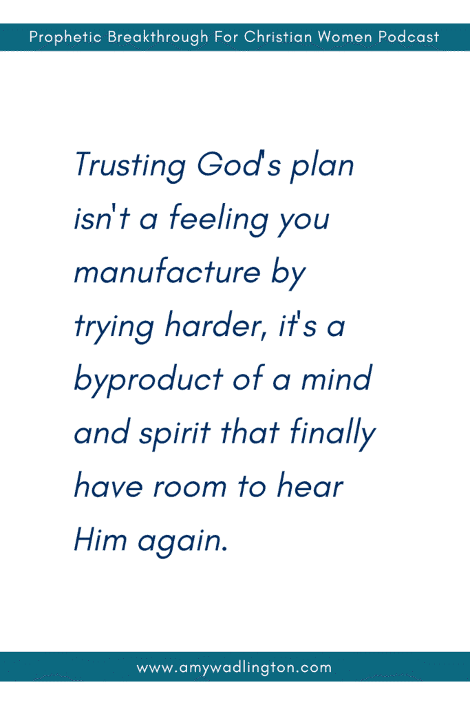 trusting God's plan quote